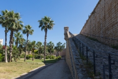 14-Acre-May-29th-2020