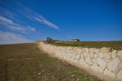 05-Arad-April-10Th-2026