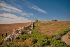 06-Arad-April-10Th-2026