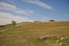 08-Arad-April-10Th-2026