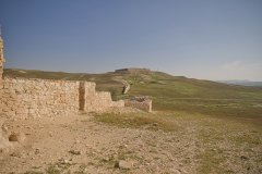 11-Arad-April-10Th-2026