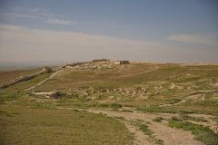 12-Arad-April-10Th-2026