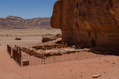 Archaeology-6