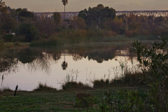 01-Ariel-Sharon-Park