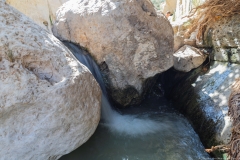 11-Arugot-Wadi-Dead-Sea