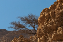 25-Arugot-Wadi-Dead-Sea
