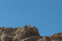 27-Arugot-Wadi-Dead-Sea