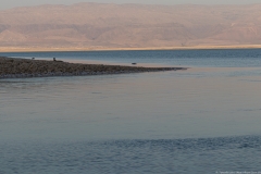 30-Arugot-Wadi-Dead-Sea