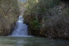 01-Ayun-Stream-Nature-Reserve