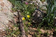 02-Bashanit-Park
