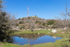 03-Bashanit-Park