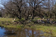 11-Bashanit-Park
