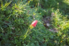 01-Big-Juba
