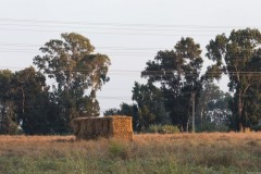 MG_0001-2