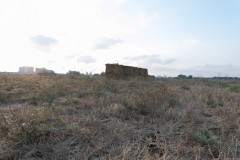 MG_0001
