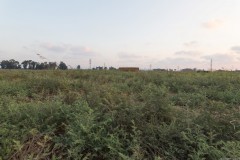 MG_0010