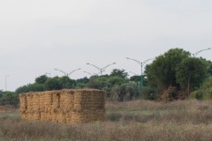 MG_0013-2