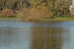 2_MG_0053