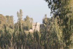 2_MG_0077