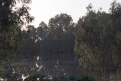 2_MG_0104