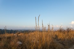 6D_0018