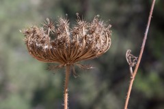 6d_MG_0046-2