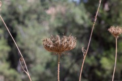 6d_MG_0046