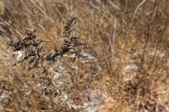 80d_MG_0001