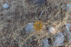 80d_MG_0005-2