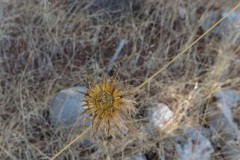 80d_MG_0005