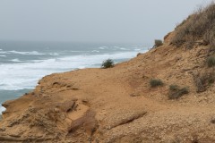 1_MG_0006