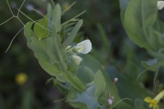 MG_0058