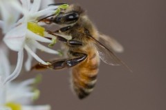 MG_0039-3