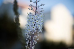 MG_0002-2