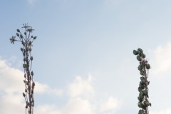MG_0005-2