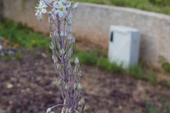 MG_0019-2
