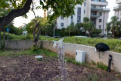 MG_0019