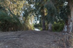 6D_mg_0004