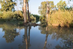 6D_mg_0015
