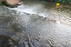6D_mg_0026