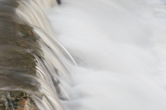 80D_mg_0014