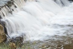 80D_mg_0017