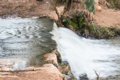 80D_mg_0019
