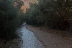Eyn-Boqeq_80D0011