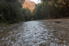 Eyn-Boqeq_80D0012