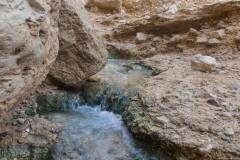Eyn-Boqeq_80D0023