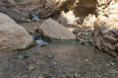 Eyn-Boqeq_80D0024