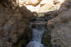 Eyn-Boqeq_80D0035