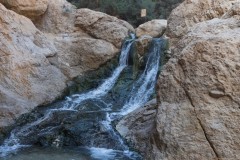 Eyn-Boqeq_80D0043
