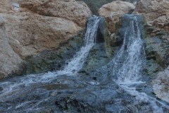 Eyn-Boqeq_80D0045